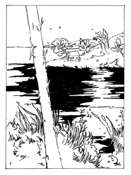 ANA&Iuml;S MARIE PERIER